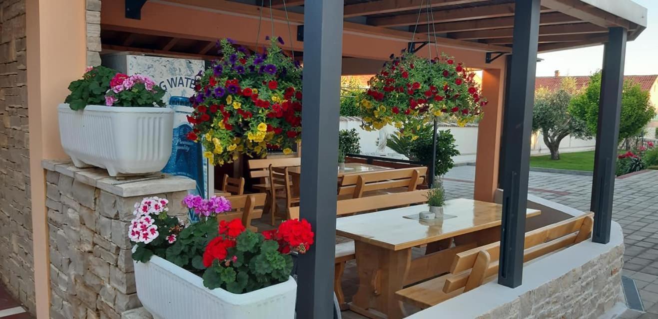 Dalmatina Mit Pool Villa *