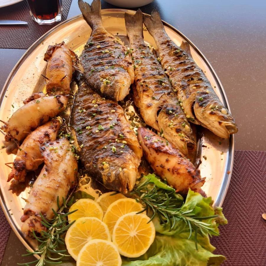 Dalmatina